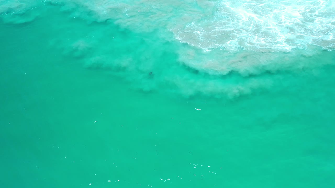 Overhead view of teal ocean in Los Cabos, Mexico, with a gray-white foamy wave band near the top and no visible people.