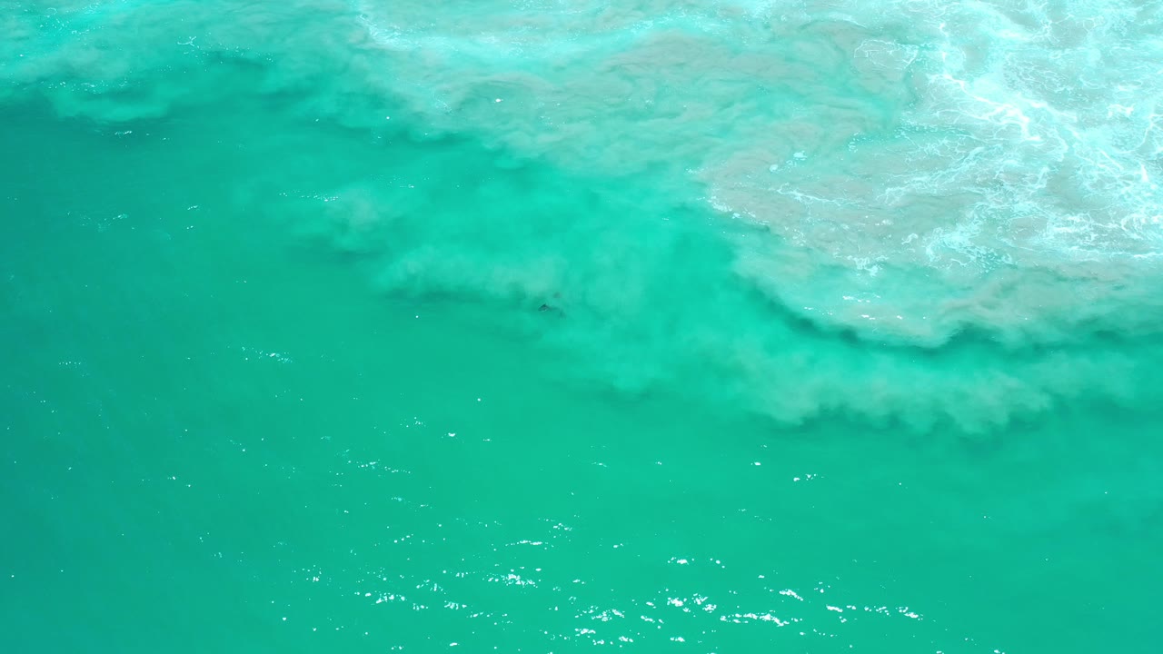 Overhead view of turquoise green water in Los Cabos, Mexico, with a broad white foam band across the top and no visible people.