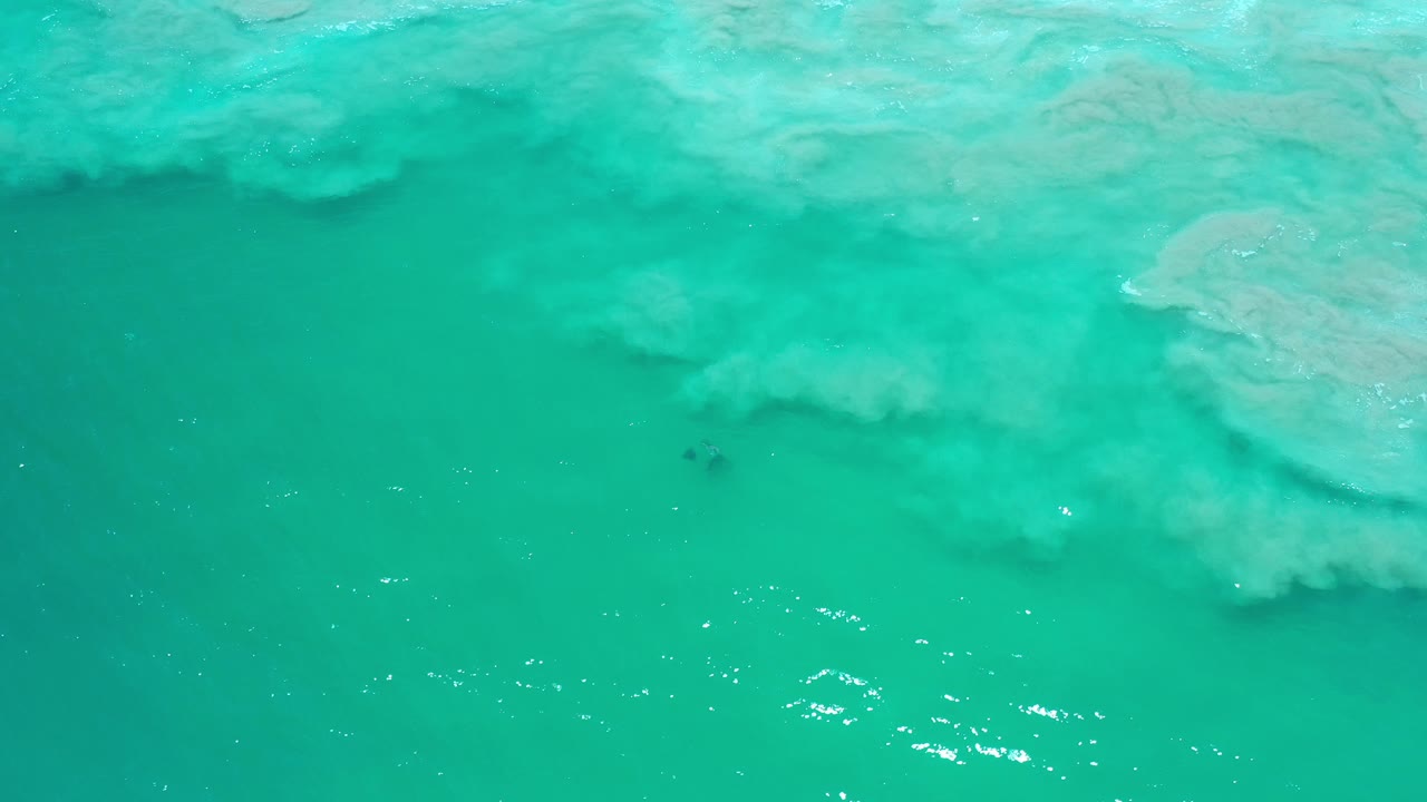 Turquoise ocean water with pale wave wash near the top edge.
