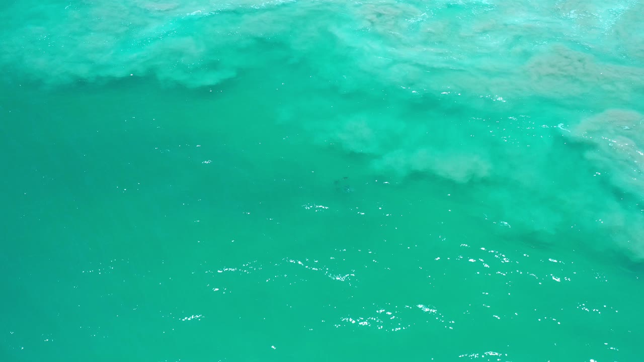 Green-turquoise ocean water in Los Cabos with pale wave wash crossing the upper frame and no visible people.