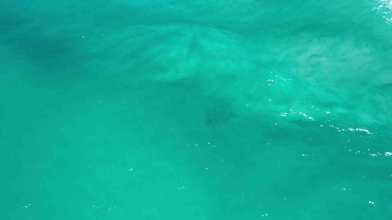 Overhead view of turquoise-green ocean water in Los Cabos, Mexico, with faint submerged sand or rock forms and no visible people at the opening frame.