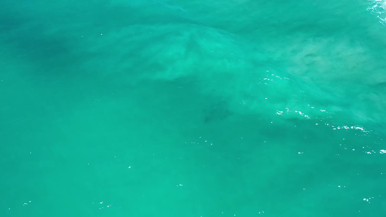 Overhead Los Cabos ocean frame with bright green water, a soft wave band near the top, pale underwater texture, and no visible people.