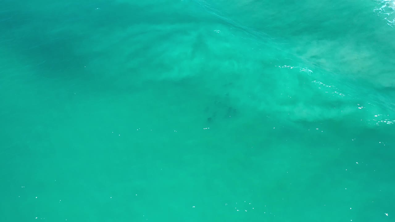 Open turquoise water with faint foam flecks and blurred submerged forms.