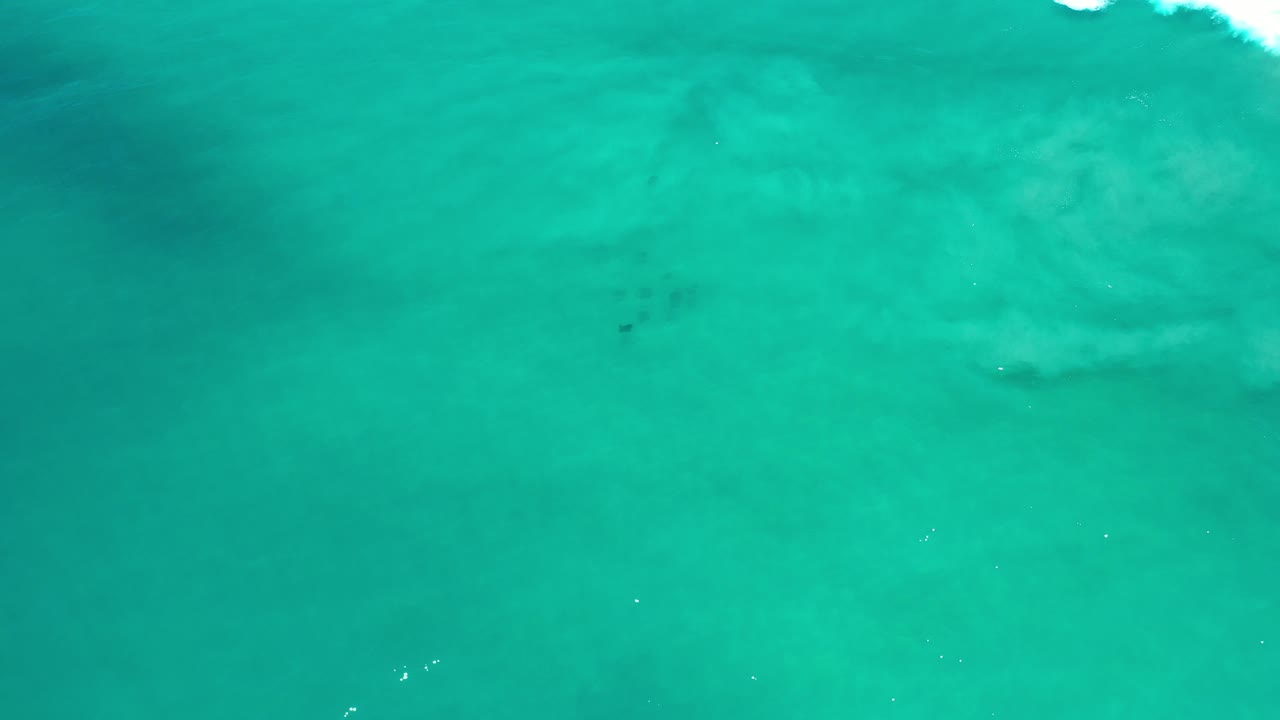 Overhead view of turquoise ocean water in Los Cabos, Mexico, with pale submerged texture and no visible people at the start of the clip.