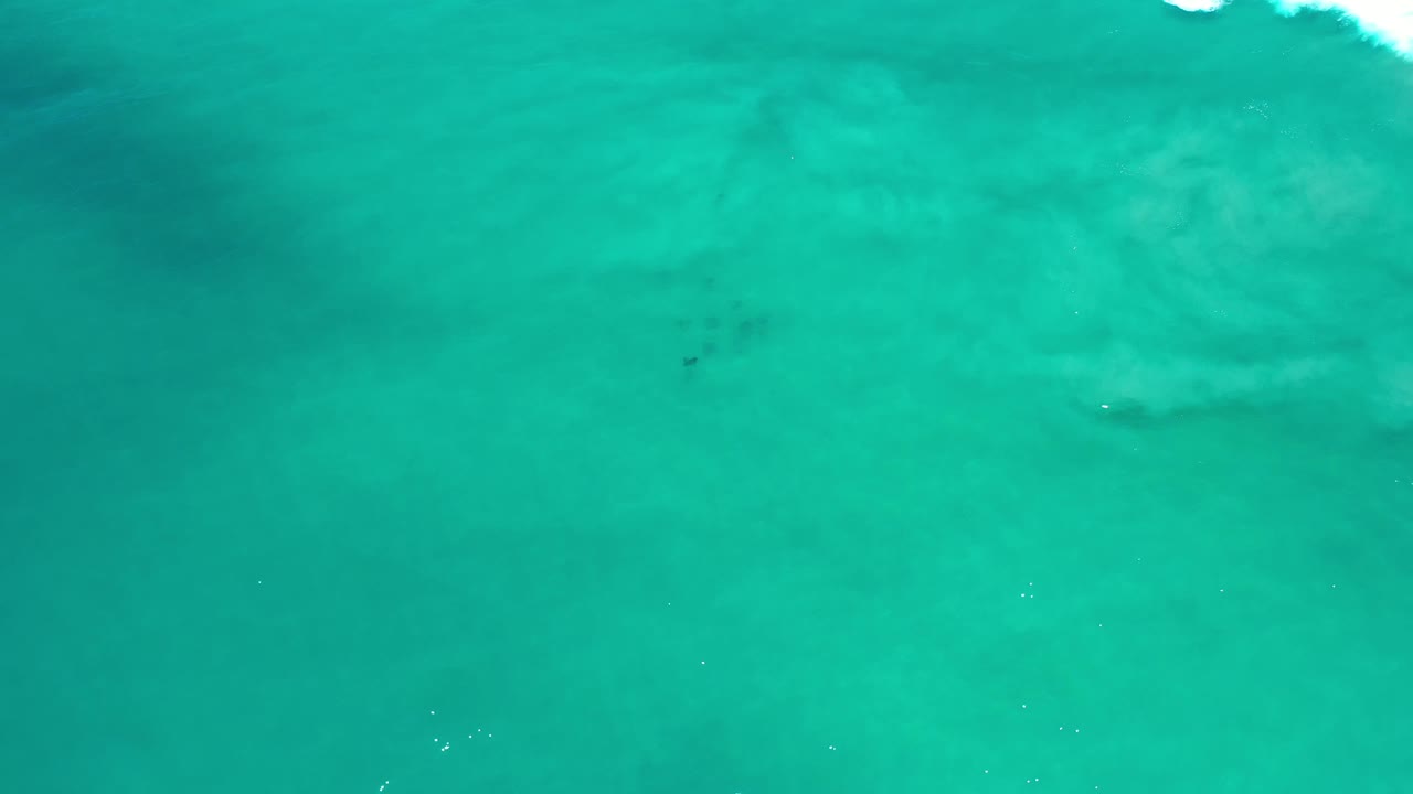 Aerial frame over clear teal water in Los Cabos, Mexico, with faint seabed shapes, a small white surface ripple, and no visible people.