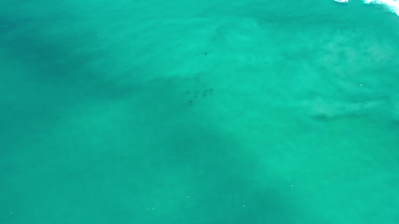 Blue-green ocean surface with pale underwater texture and faint dark shapes.