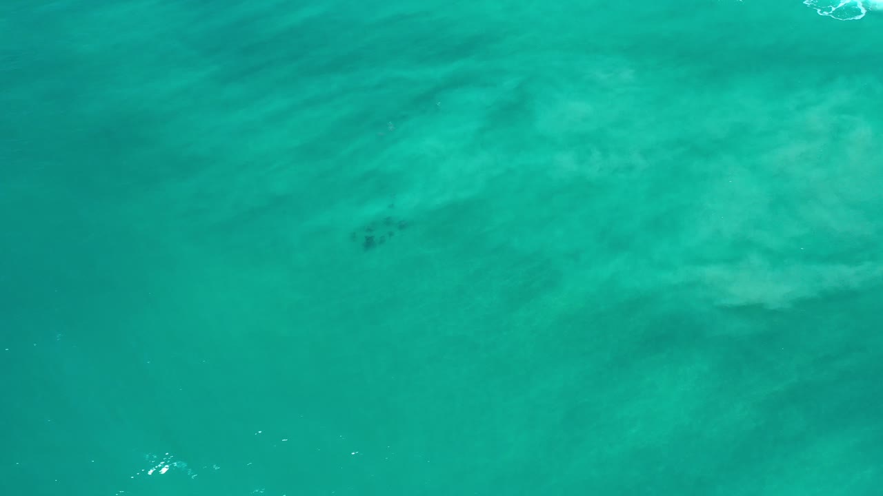 Top-down view of turquoise sea in Los Cabos, Mexico, with pale submerged shapes and no visible people at the start of the clip.
