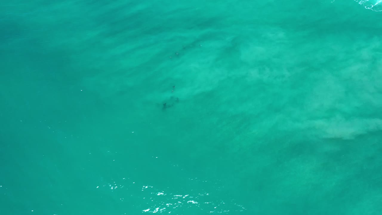 Aerial turquoise water with pale cloudy forms under the surface.