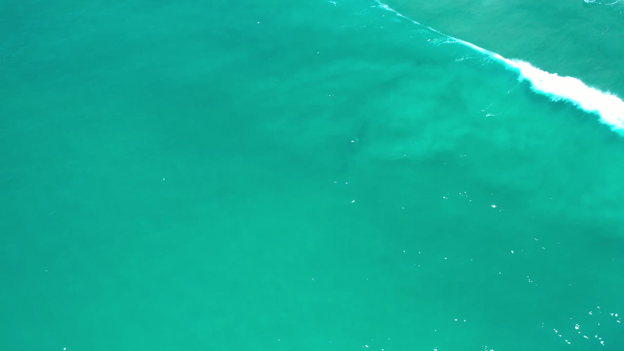 Overhead view of turquoise ocean water in Los Cabos, Mexico, with a thin white breaking wave near the upper right and no visible people.
