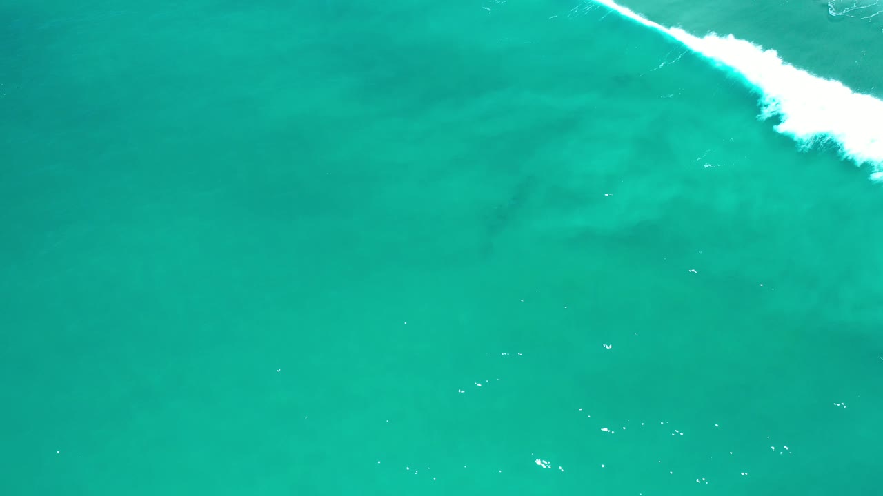 Aerial ocean view with a bright white wave along the upper right corner.