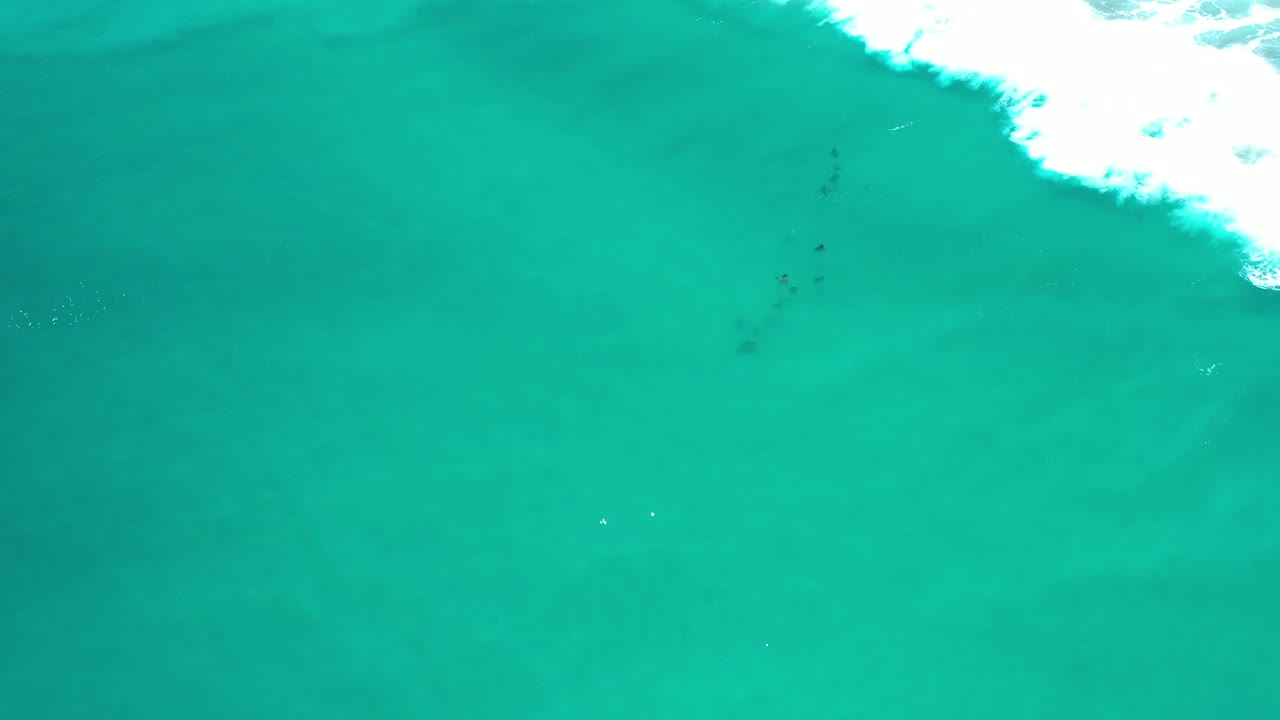 Overhead view in Los Cabos, Mexico of a small dark school of fish below turquoise water with white surf entering at the upper right and no visible people.