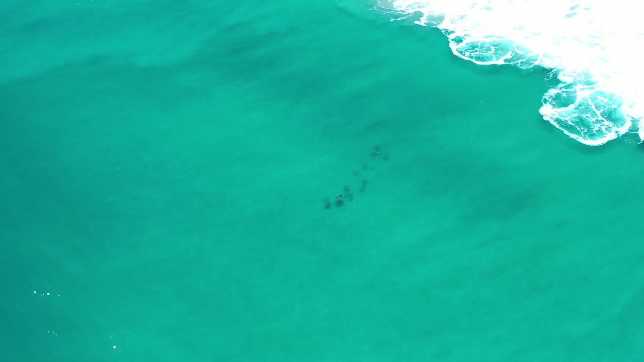 Overhead view of turquoise water in Los Cabos, Mexico, with a small school of dark fish under the surface and white wave foam entering at the upper right, no visible people.