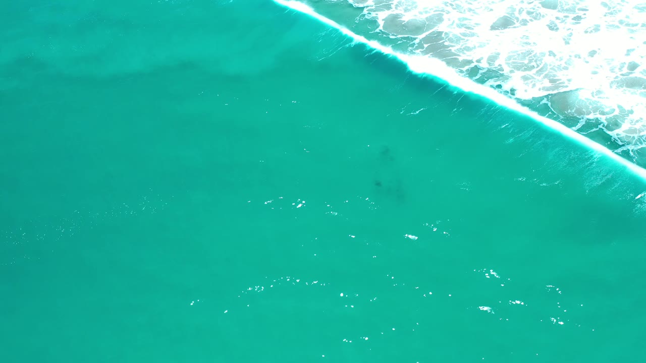 Aerial green water in Los Cabos, Mexico, shows a bright diagonal wave line crossing the upper frame while darker patches sit below it, with no visible people.