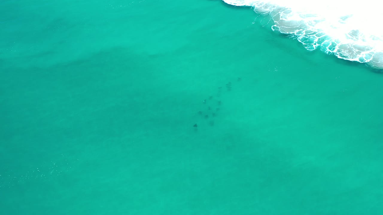 Overhead view of turquoise ocean near Los Cabos, Mexico, with a small line of dark fish beneath the water and white surf entering from the upper right, no visible people.