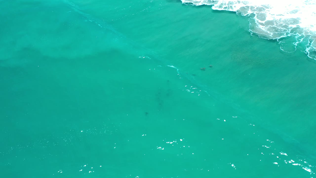 Overhead frame of Los Cabos ocean water with white wave foam along the upper right and scattered light reflections, with no visible people.