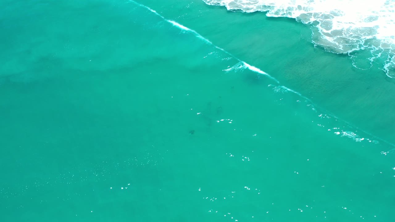 A diagonal white wave line crosses turquoise water.