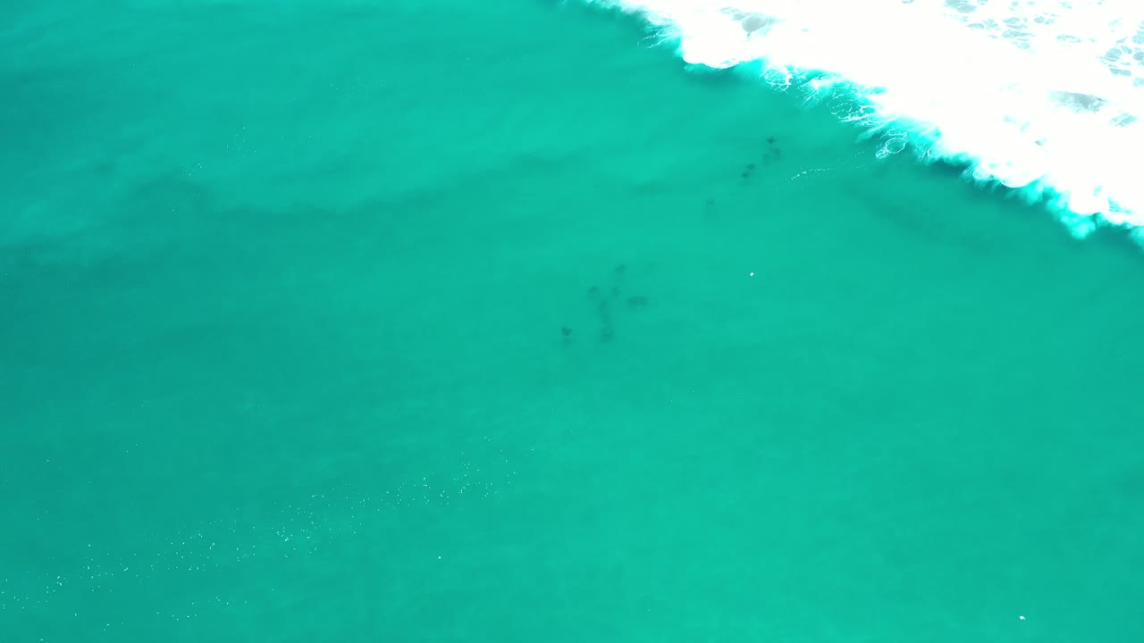 Overhead view of turquoise ocean in Los Cabos, Mexico, with white surf crossing the upper edge and no visible people.