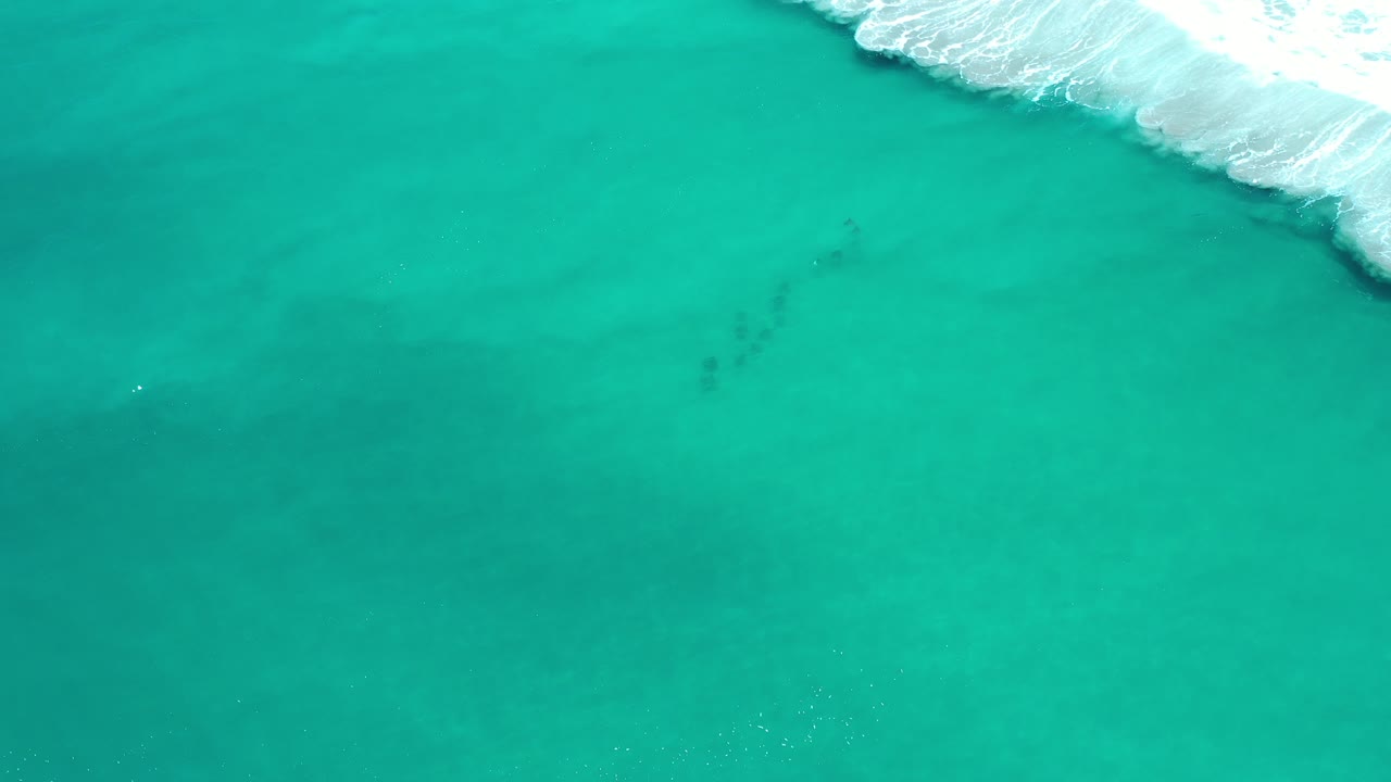 Overhead turquoise shallows with surf foam and a small dark fish school.