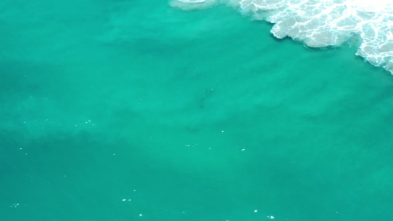 Turquoise ocean water with white surf at the upper edge.