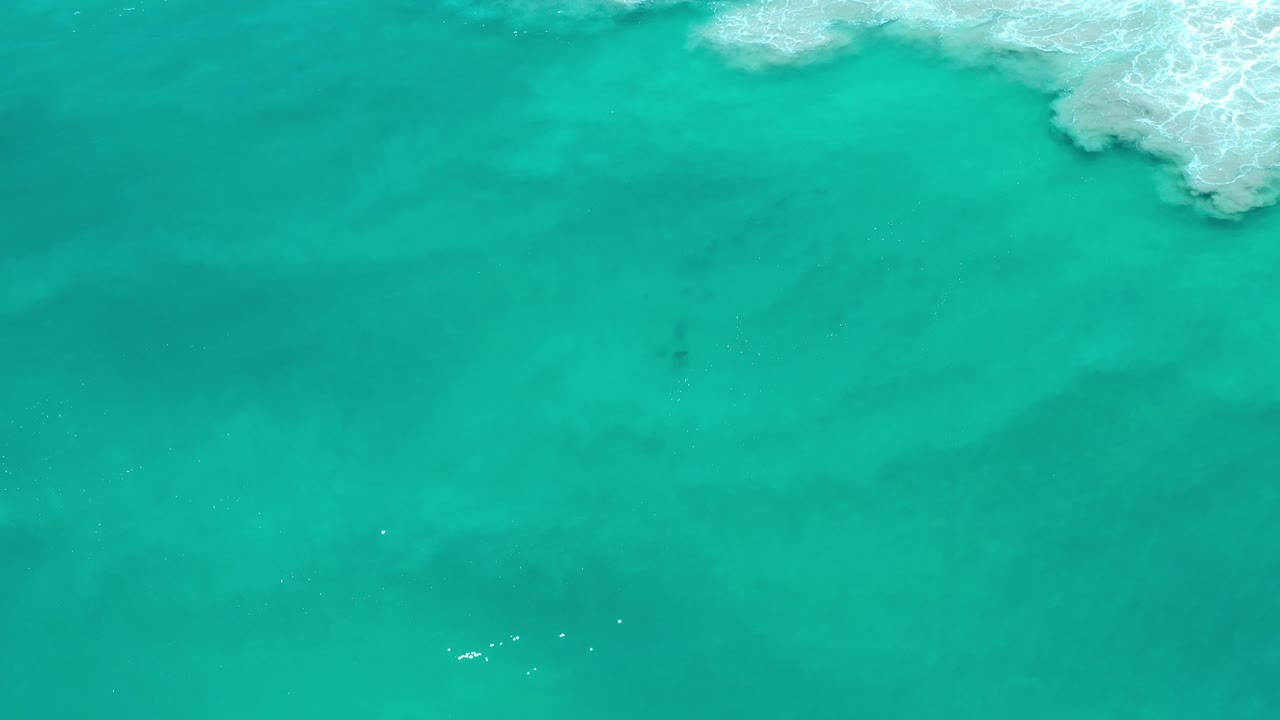 Overhead view of green-blue ocean water in Los Cabos, Mexico, with pale surf foam near the top edge and no visible people.