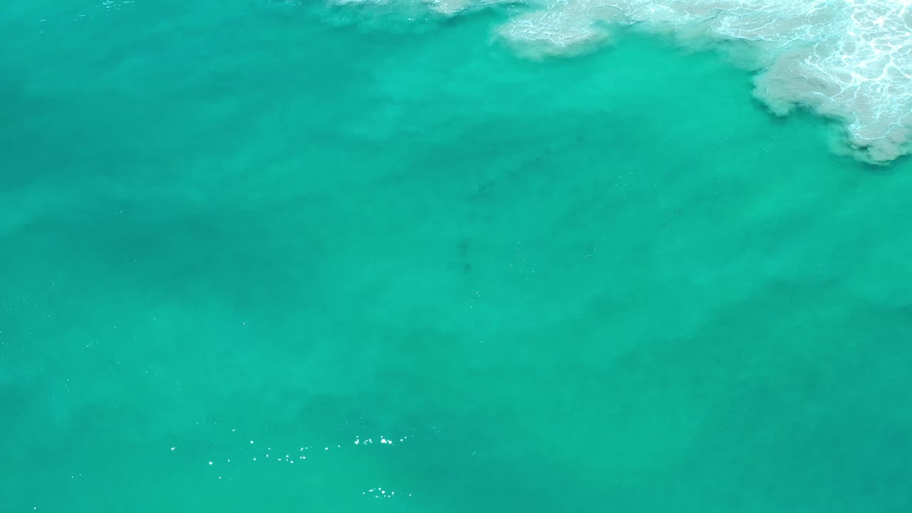 Open turquoise water with small surface sparkles.