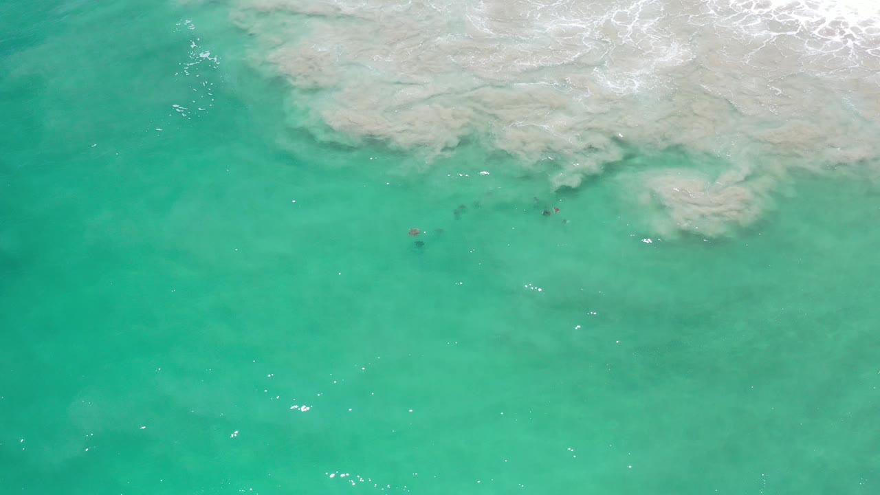 Aerial view over green water in Los Cabos, Mexico, with pale surf across the top edge, tiny dark animals near mid-frame, and no visible people.