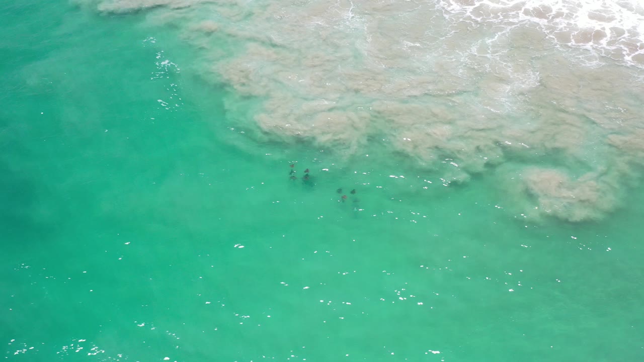 Overhead view of turquoise-green ocean in Los Cabos, Mexico, with pale shallow seabed near the top edge, scattered sun glints, and no visible people.