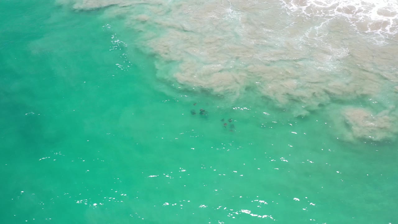 Bright green ocean with pale shallows and white wave foam along the upper edge.