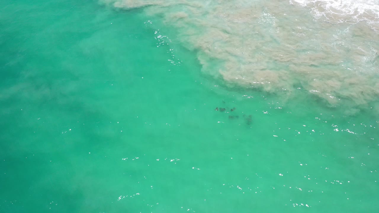 Overhead view of turquoise-green water off Los Cabos, Mexico, with pale foamy surf wash along the upper edge and no visible people.