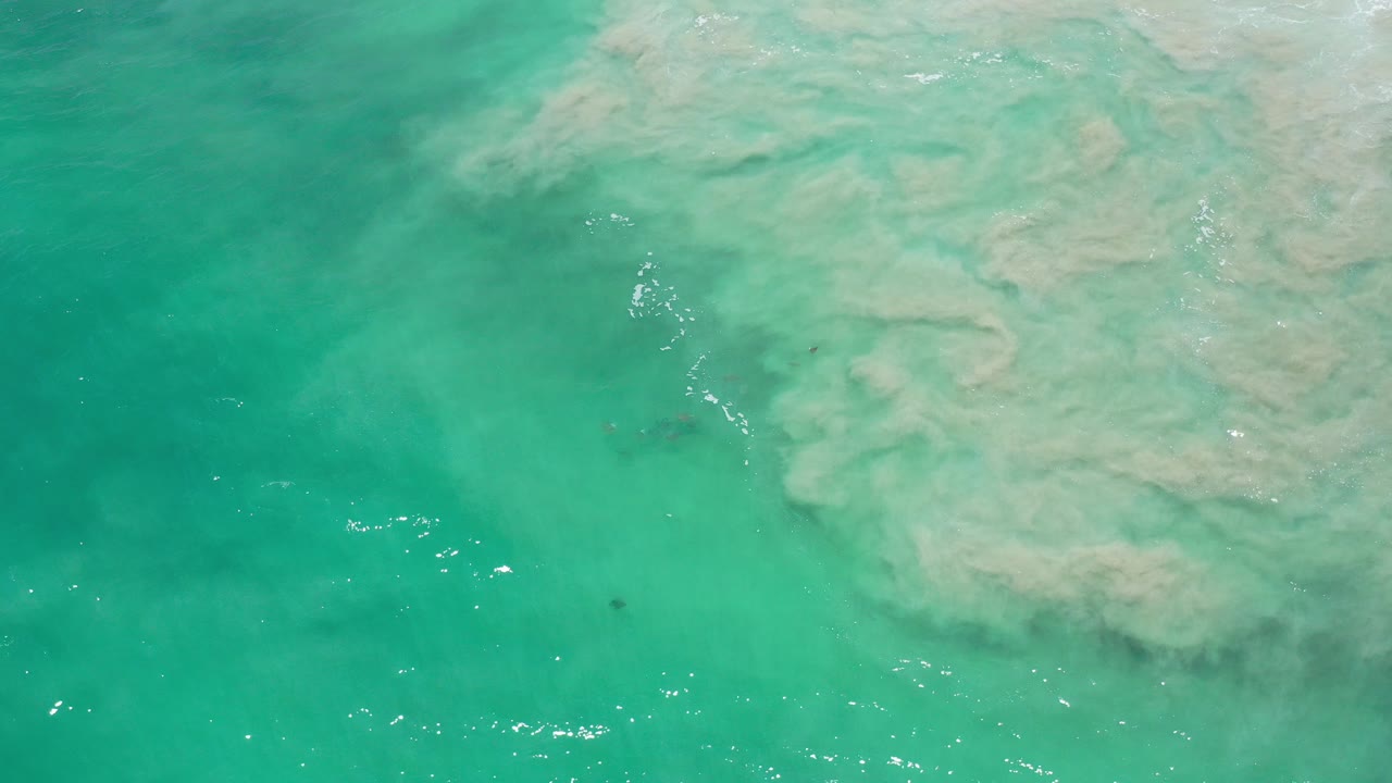 Overhead view of green ocean water in Los Cabos, Mexico, with pale wave foam near the upper right, tiny dark fish under the surface, and no visible people.