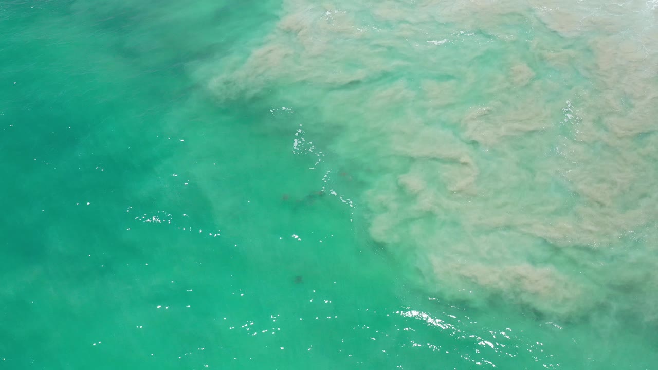 Green sea surface with brighter wave glitter and pale foam at the top right.