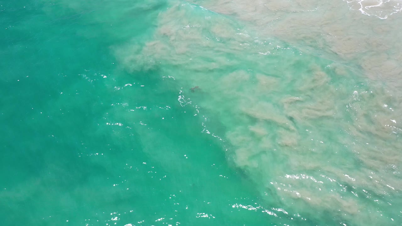 Bright green water with pale sand coloration