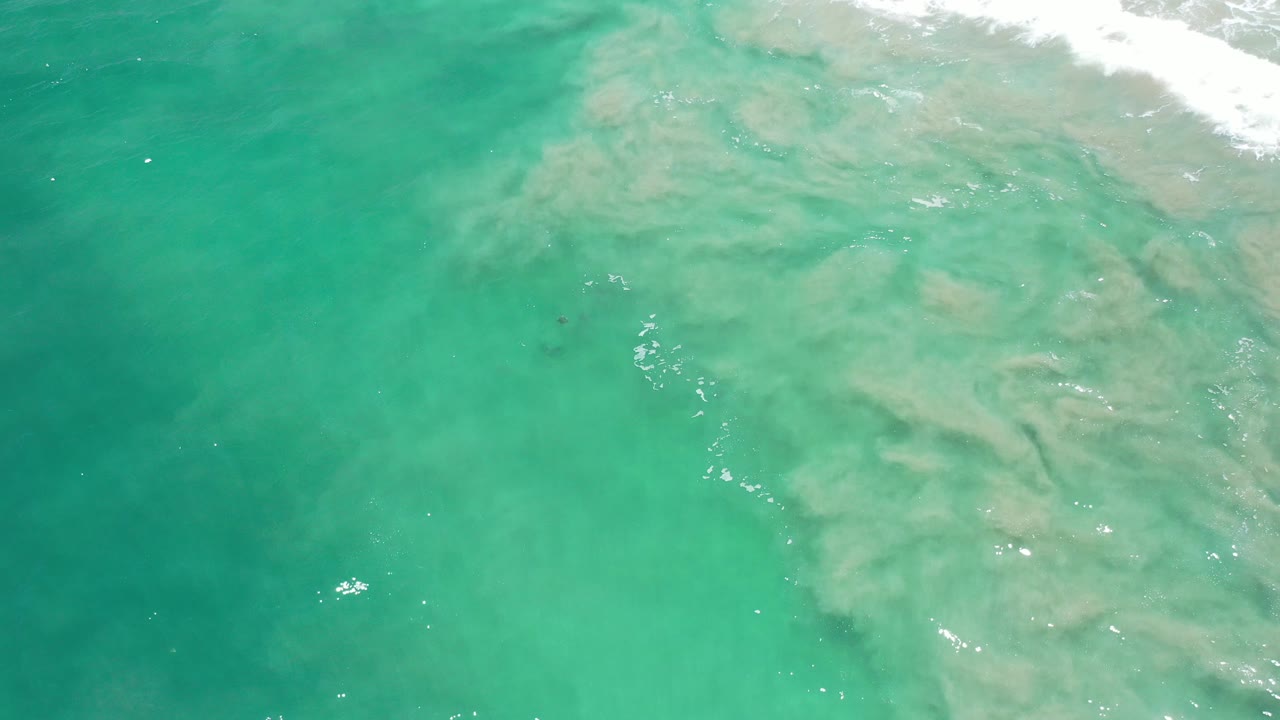 Green ocean water near Los Cabos fills the frame with pale sandy-brown patterns under the surface, small bright reflections, foam at the top edge, and no visible people.