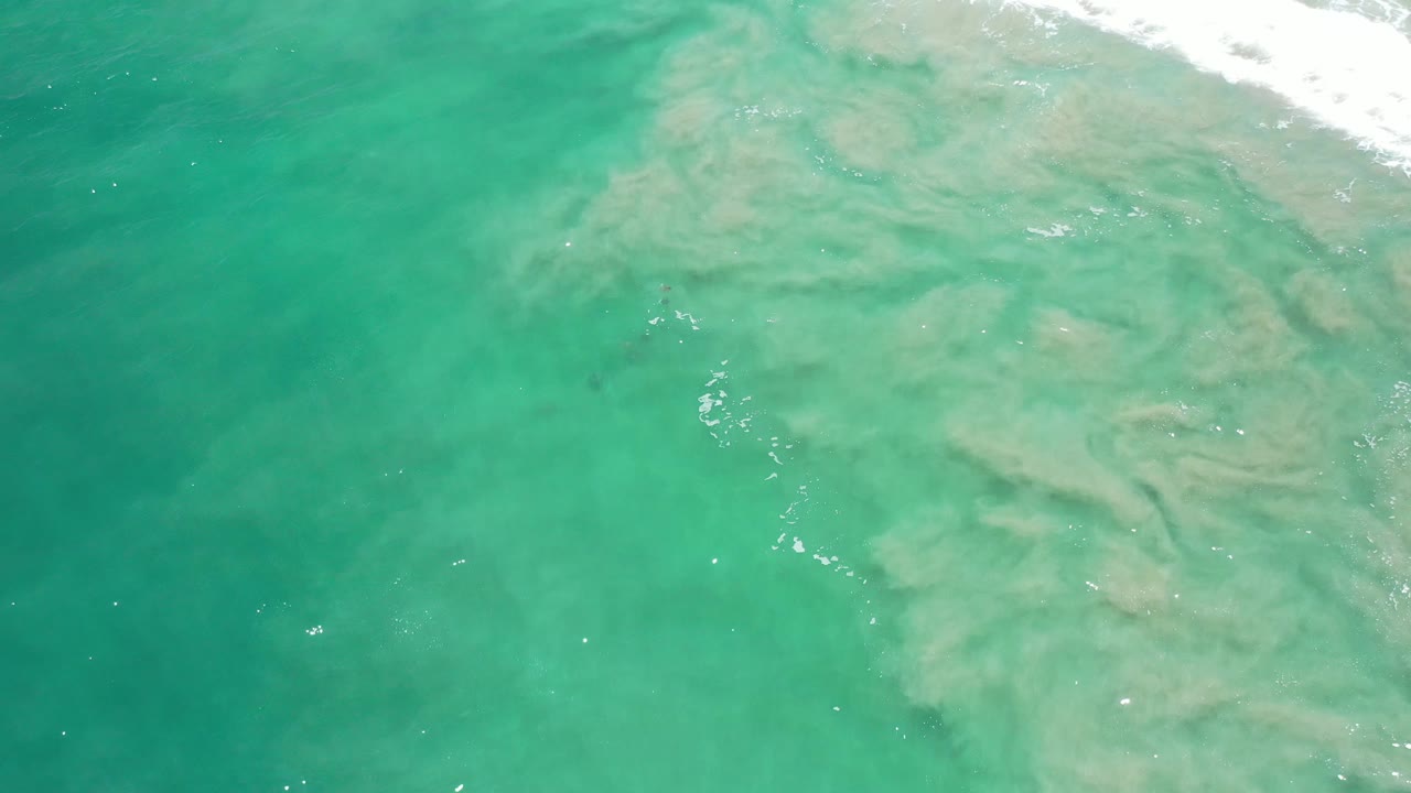Turquoise-green ocean with a large pale swirl and foam along the upper edge.