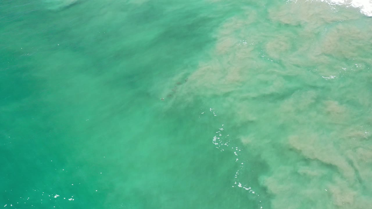 Overhead view of turquoise shallow water in Los Cabos, Mexico, with pale sand patterns beneath the surface and no visible people.