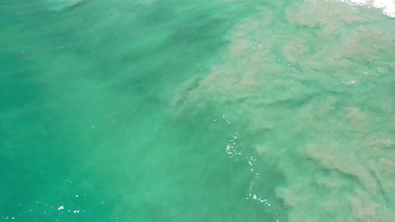 Overhead Los Cabos water frame with a broad pale sand patch drifting across the upper right and no visible people.