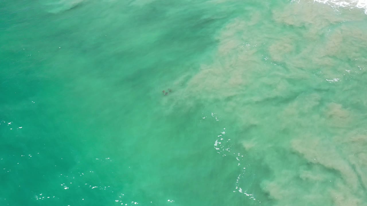Clear turquoise sea with sandy shallows and tiny dark shapes in the water.