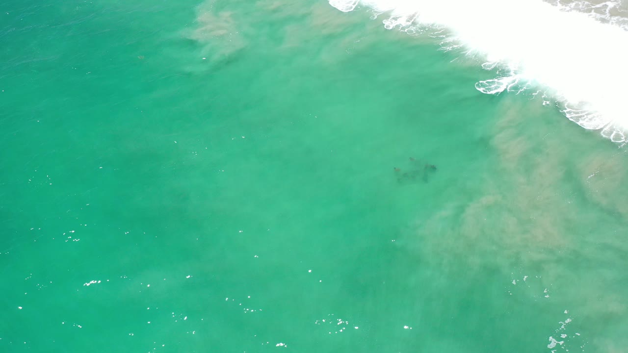 Overhead view of green-blue water in Los Cabos, Mexico with white surf entering from the upper right and no visible people.