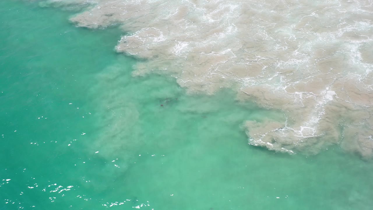 Overhead Los Cabos beach frame with green-blue water spreading below pale foamy shallows across the top, no visible people.