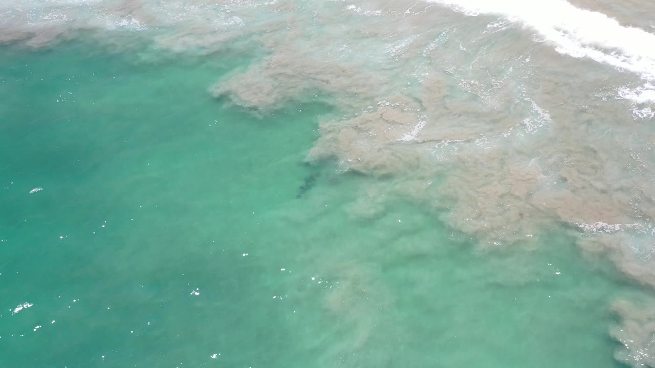 Overhead Los Cabos frame with open green water on the left, pale sand and submerged rock on the right, light surface sparkle, and no visible people.