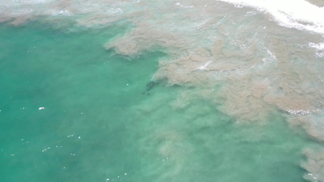 Clear green shallows with pale seabed and small dark shapes.