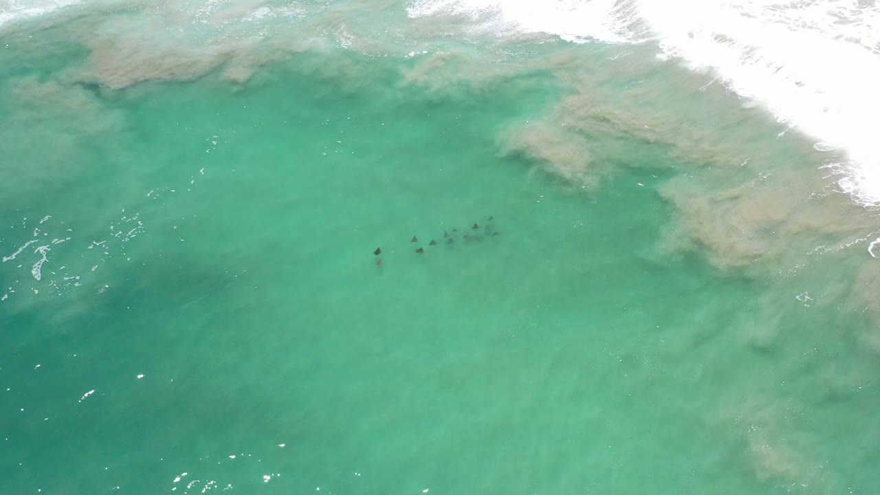 Small fish are visible beneath turquoise water in Los Cabos, Mexico, with a foamy wave band near the top edge and no visible people.