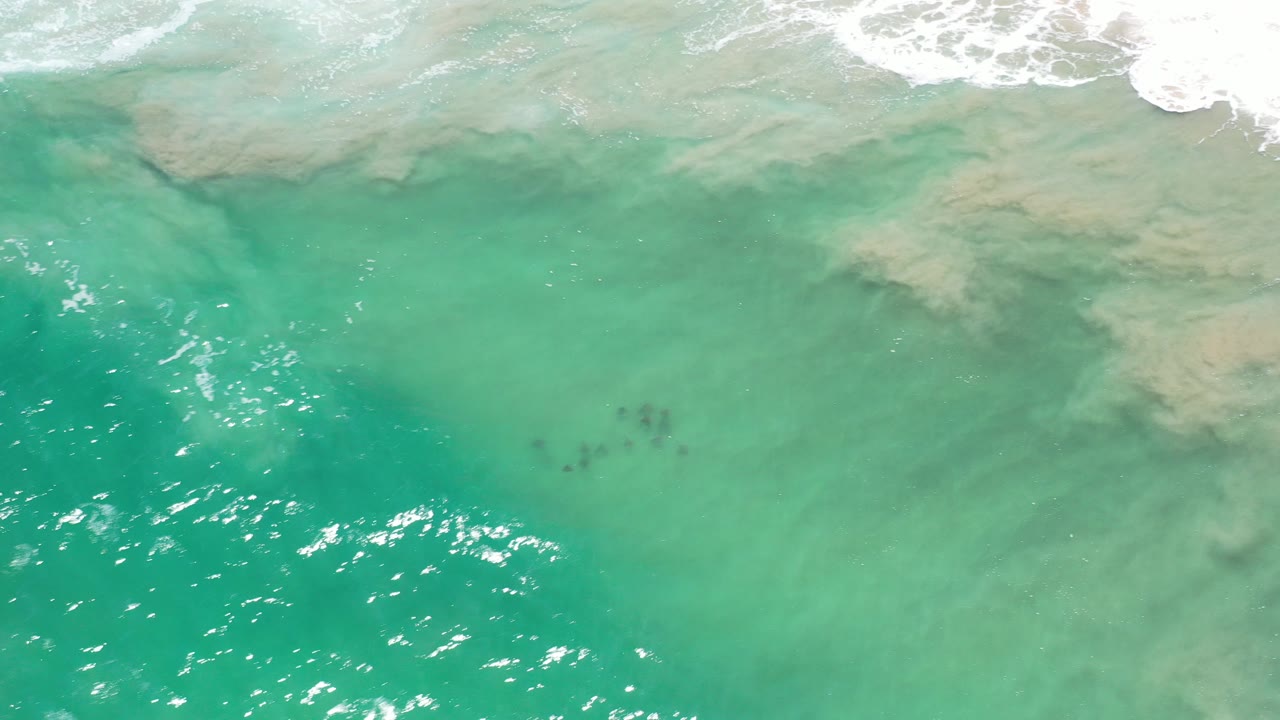 Turquoise ocean water with pale sand and white surf at the top edge.