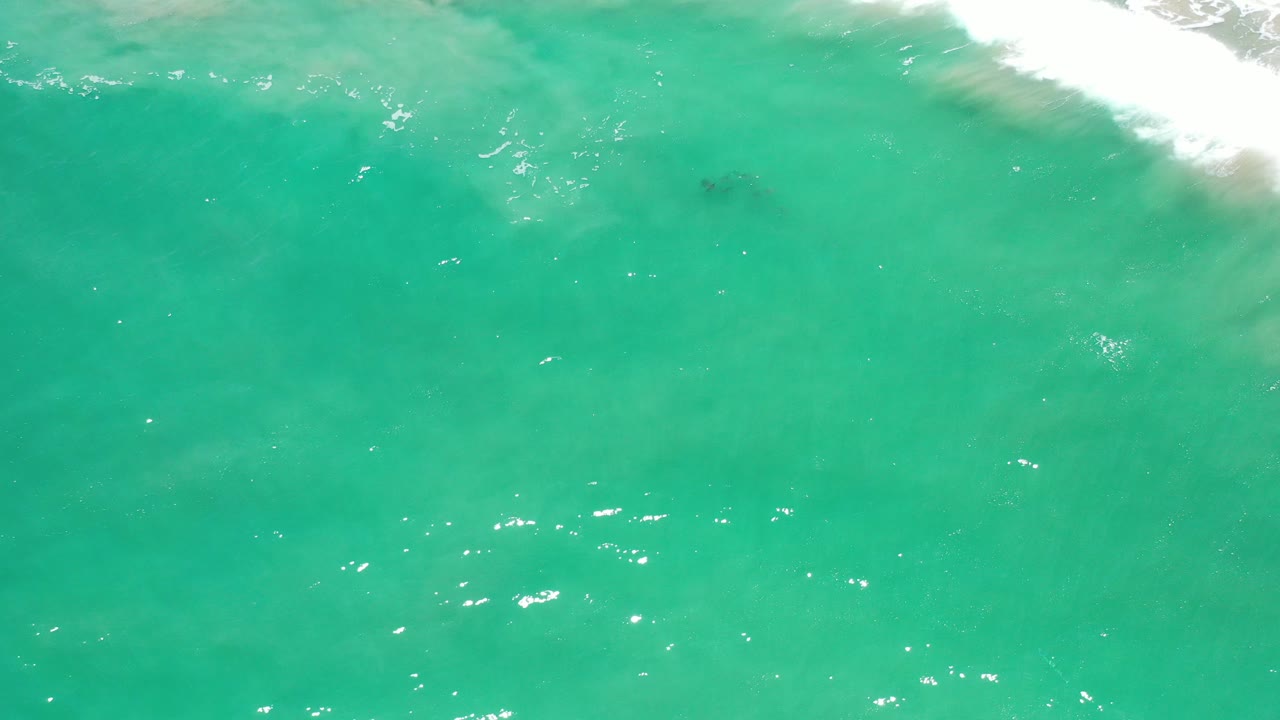 Aerial view of turquoise-green water in Los Cabos with white shore break at the top edge and no visible people.