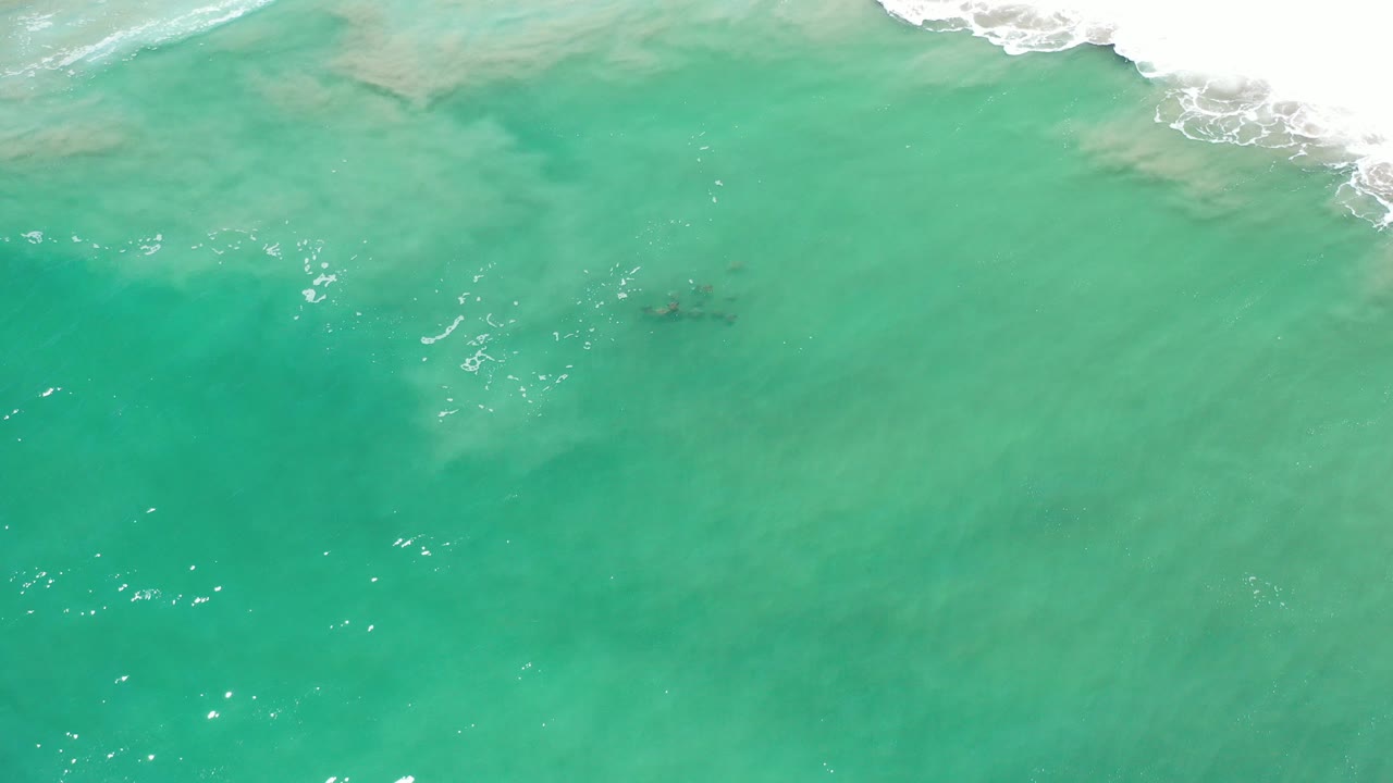 Overhead view of green-turquoise water and pale sand in Los Cabos, Mexico, with a line of white surf near the top edge and no visible people.