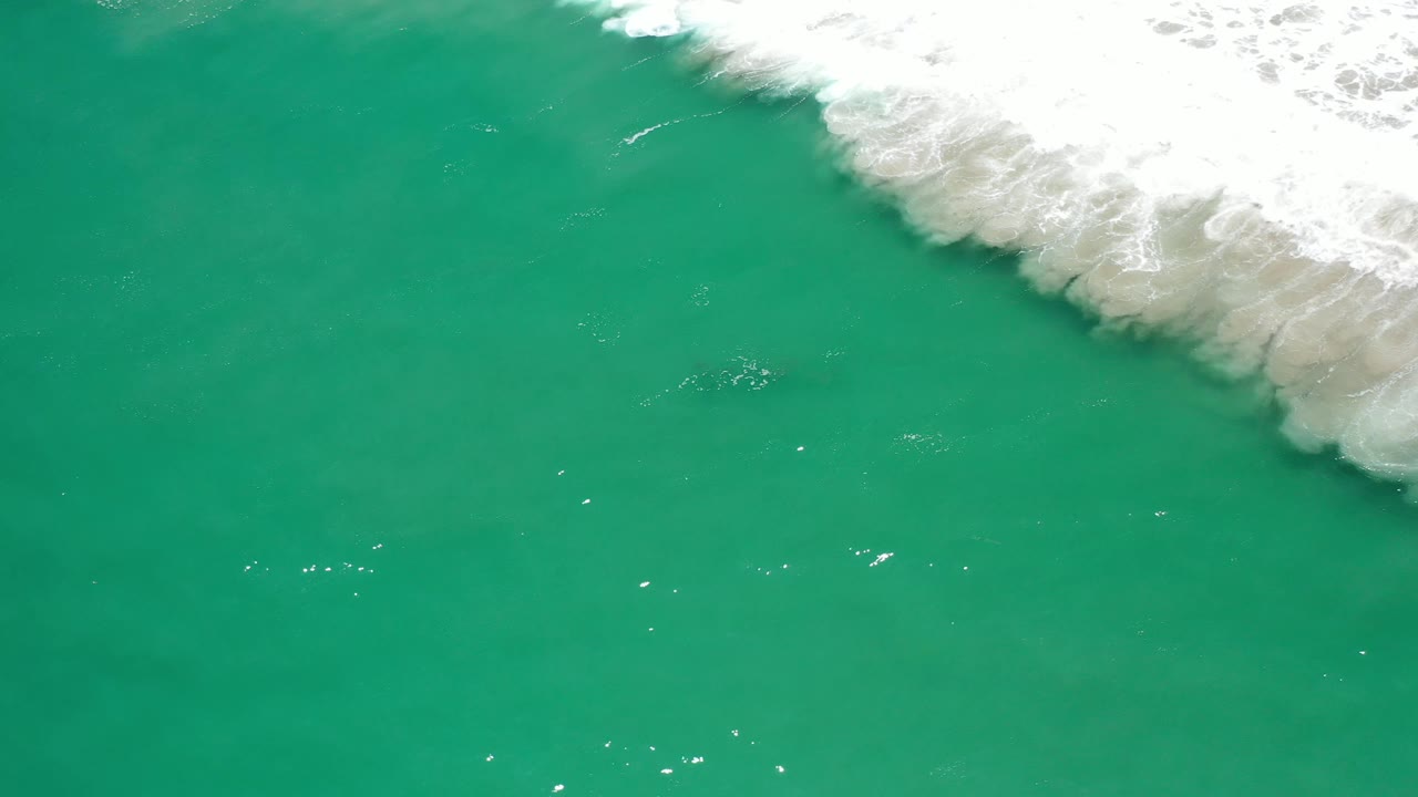 Aerial frame over Los Cabos green water, with a broad white breaking wave near the top edge and no visible people.