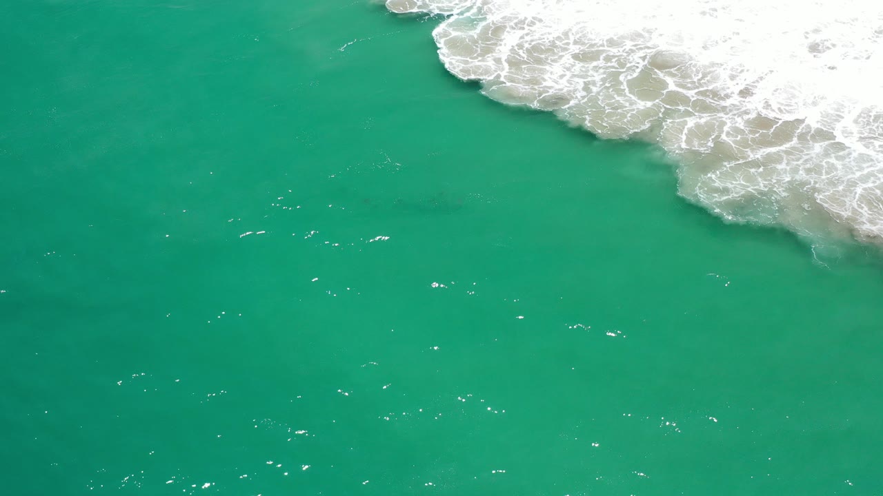 High-angle view of green ocean water in Los Cabos, Mexico, with white surf foam entering from the upper right and no visible people.