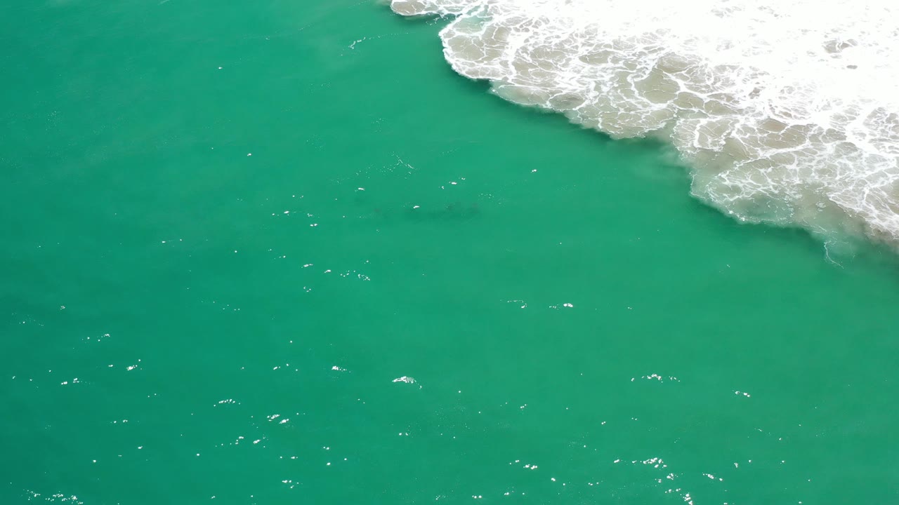 Green ocean with a curved band of white breaking wave foam.