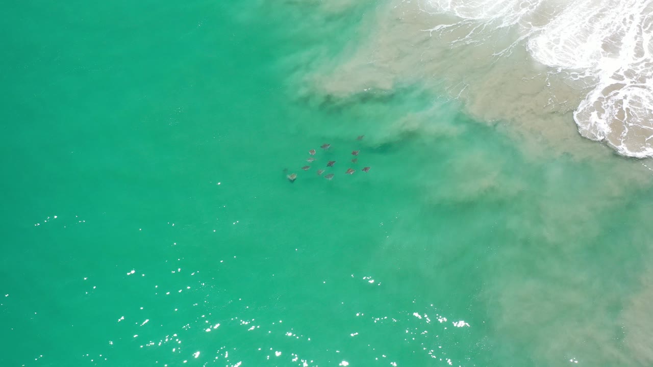 Top-down green ocean with small stingrays under the surface and surf foam at the upper right.
