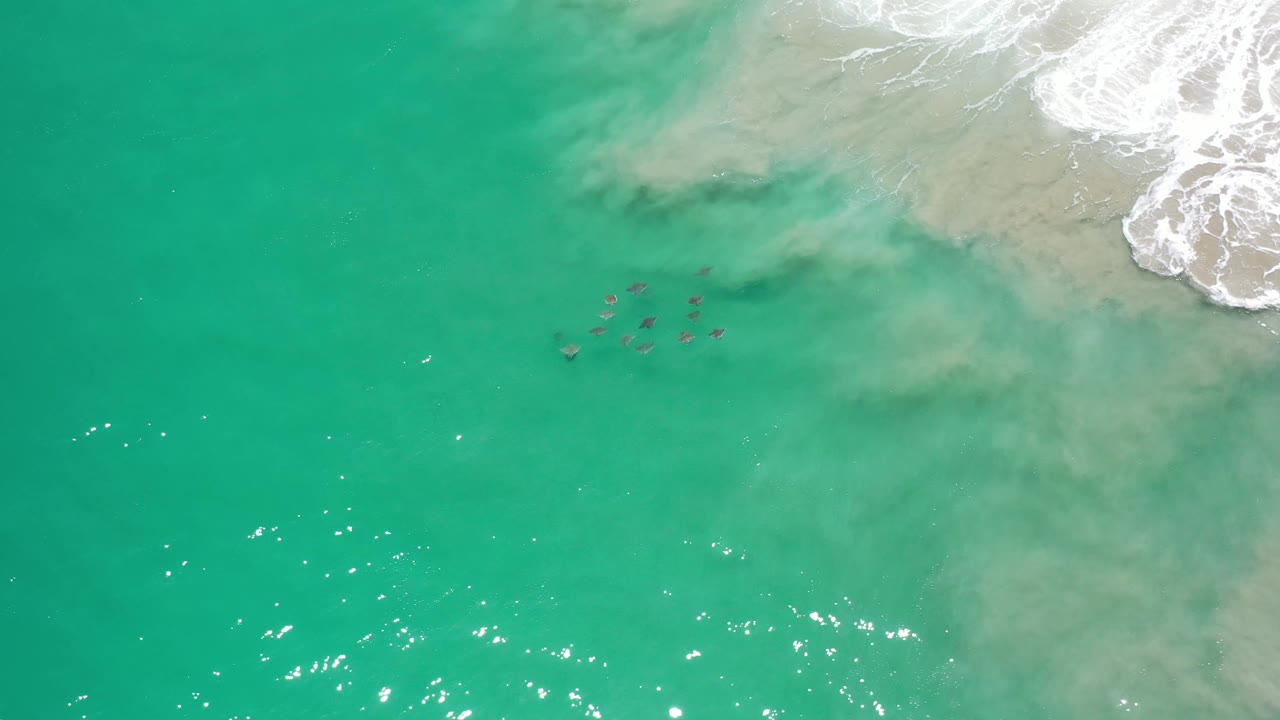 Aerial Los Cabos frame with the stingray group slightly right of center, pale sandy clouding under the water, white surf foam at the top right, and no visible people.